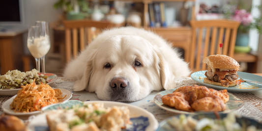 Obesidad canina: más común (y peligrosa) de lo que imaginas